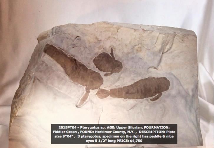 eurypterid_money