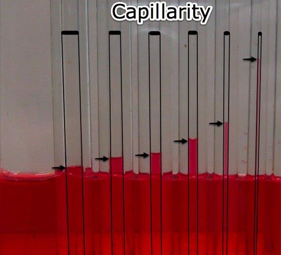 capillarity