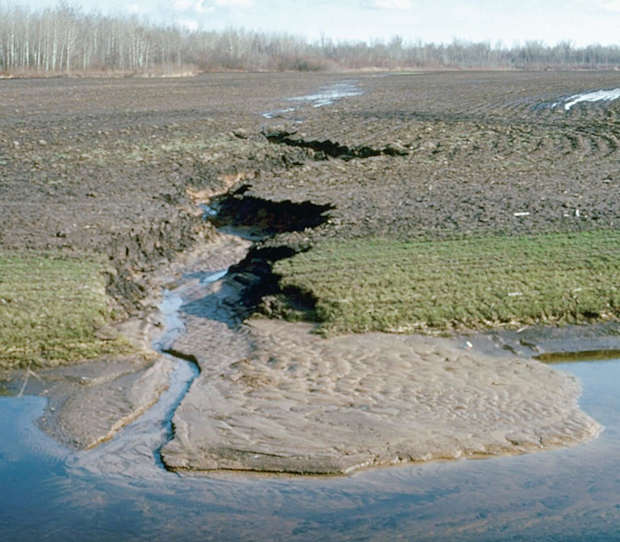 delta