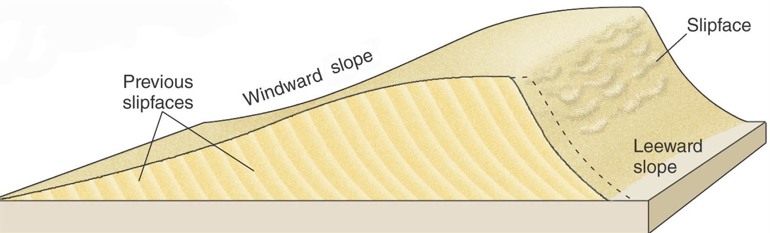 dune