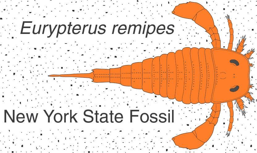 eurypterus1