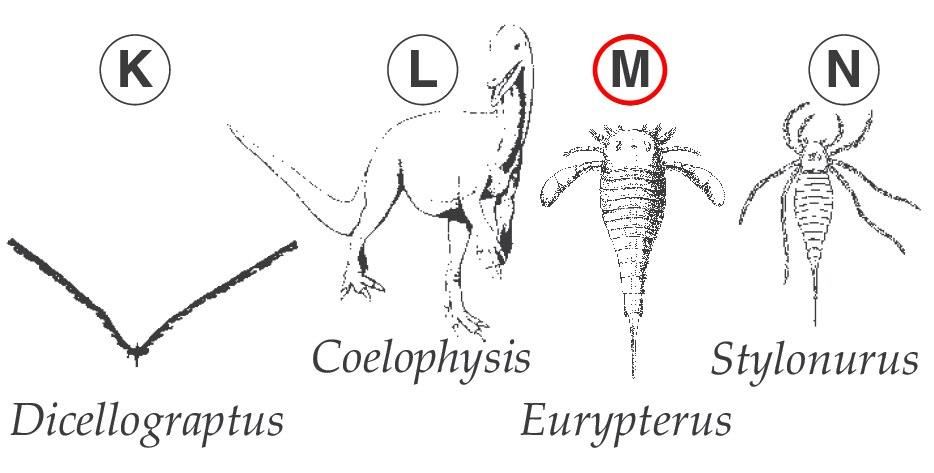 eurypterus2