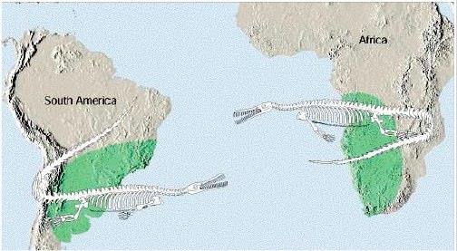 mesosaurindex