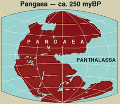 pangaea2