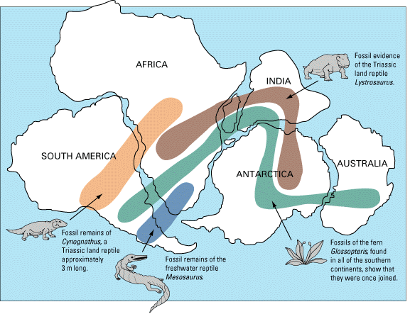pangea6