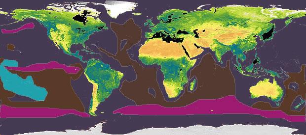 oceanfloor