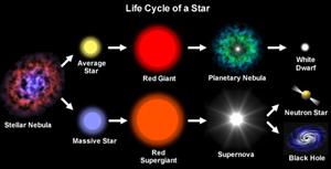 starlife 